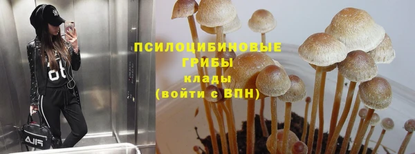 ECSTASY Белоозёрский