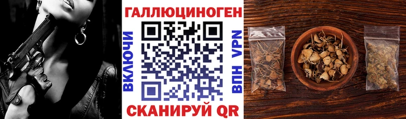 Купить  Свирск  Псилоцибиновые грибы Psilocybe 